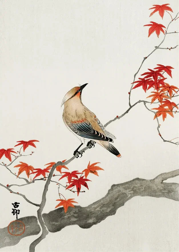 Japan Takahashi Yuming Yamanaka Lake