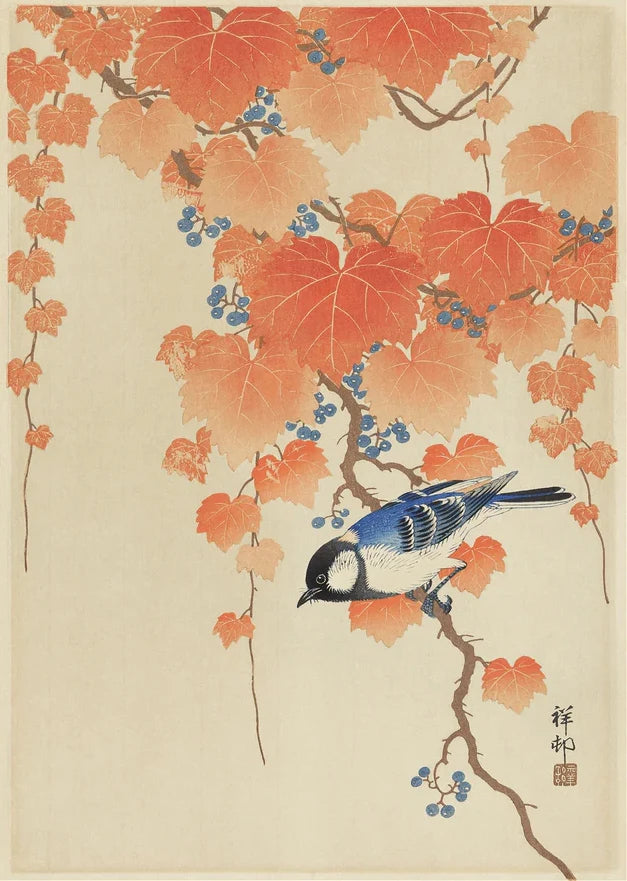 Japan Takahashi Yuming Yamanaka Lake